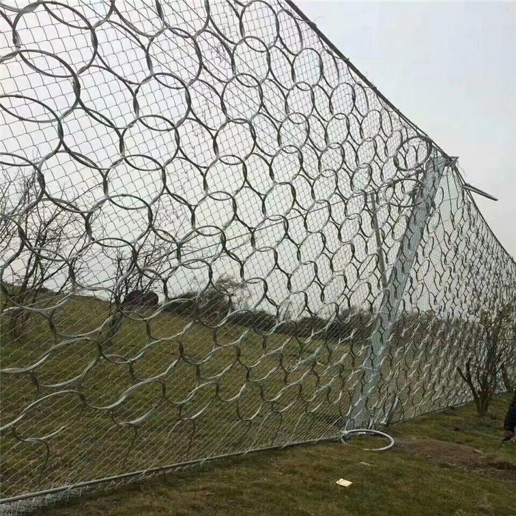 被動攔石環形網 列舉網.jpg