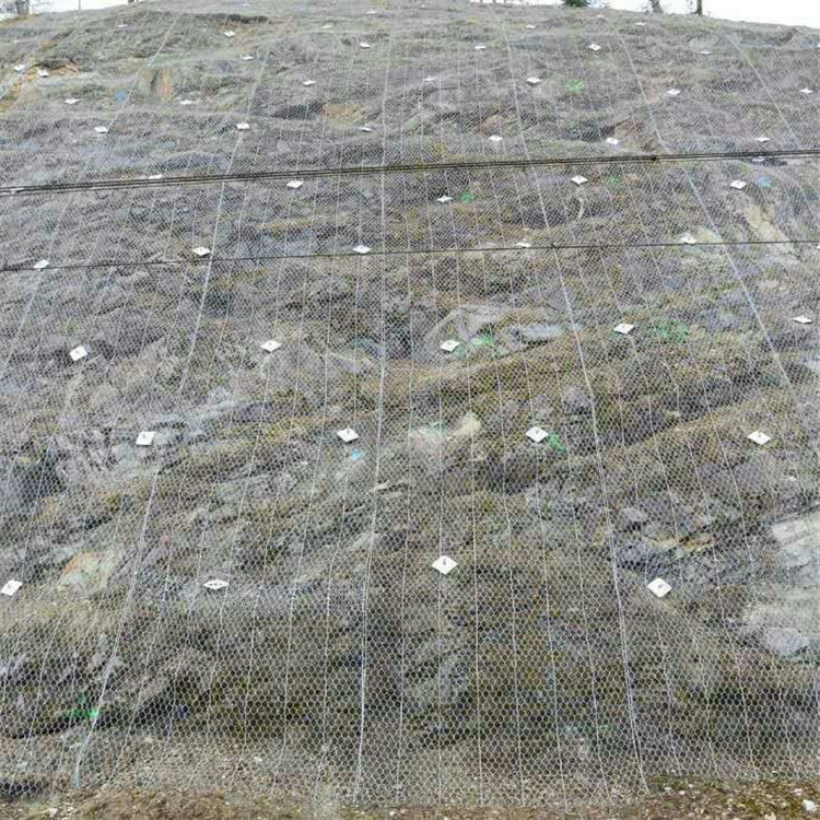 撫州綠化攔石主動網 志趣網.jpg