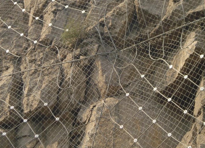 主動網案例 主動網案例